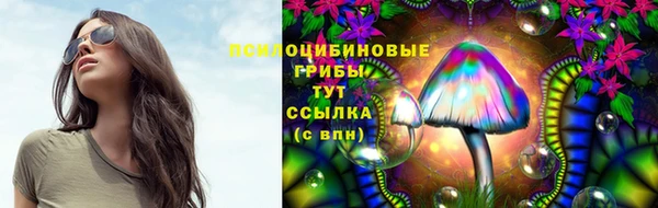 тгк Аркадак
