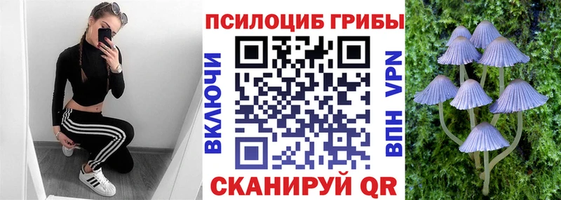 Псилоцибиновые грибы прущие грибы  Тетюши 